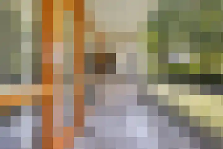 Arnold van Rodelaan 7 Hapert thumbnail 17