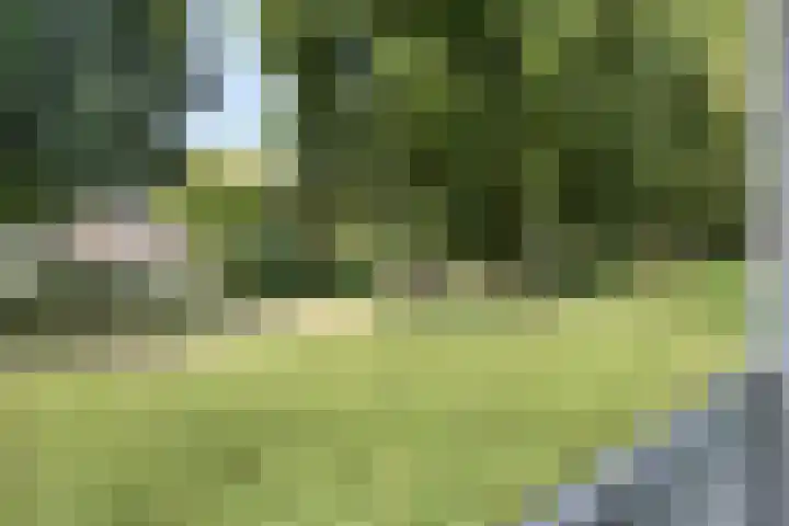 Arnold van Rodelaan 7 Hapert thumbnail 18