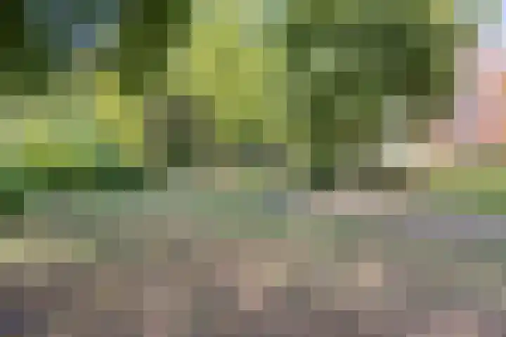 Arnold van Rodelaan 7 Hapert thumbnail 29