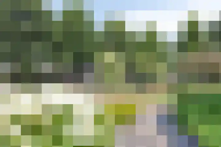 Arnold van Rodelaan 7 Hapert thumbnail 30