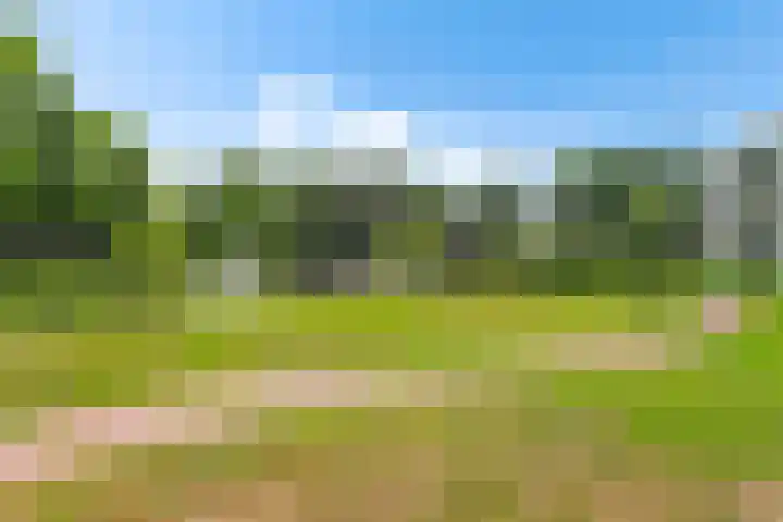 Arnold van Rodelaan 7 Hapert thumbnail 31