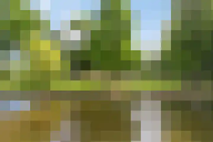 Arnold van Rodelaan 7 Hapert thumbnail 32