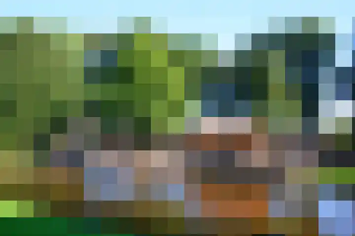 Arnold van Rodelaan 7 Hapert thumbnail 35