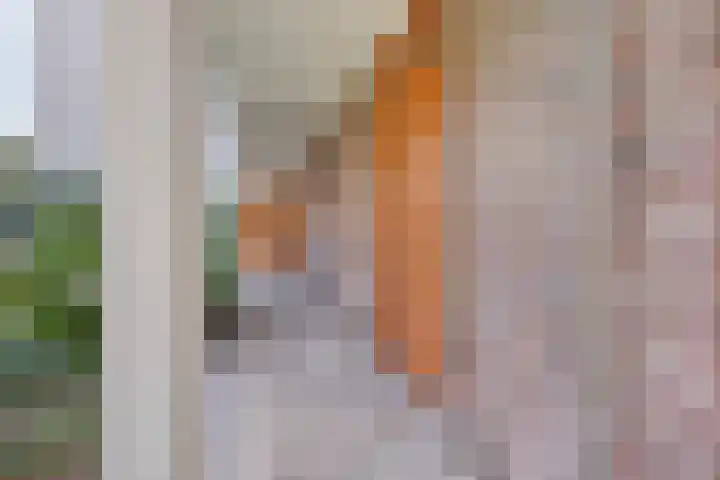 Arnold van Rodelaan 7 Hapert thumbnail 6