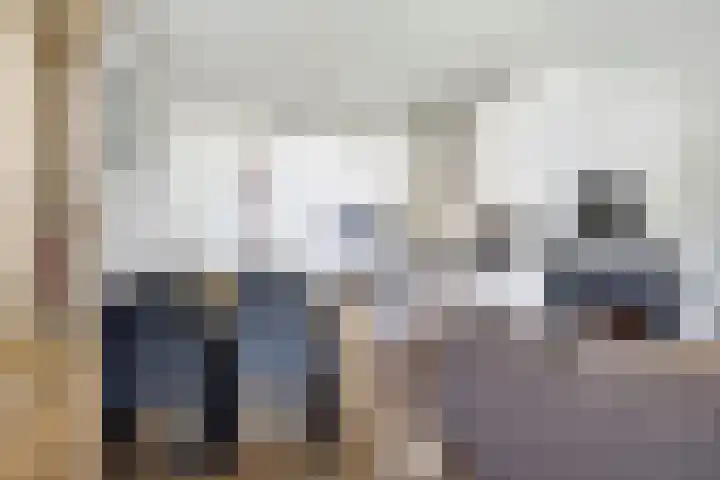 Arnold van Rodelaan 7 Hapert thumbnail 9