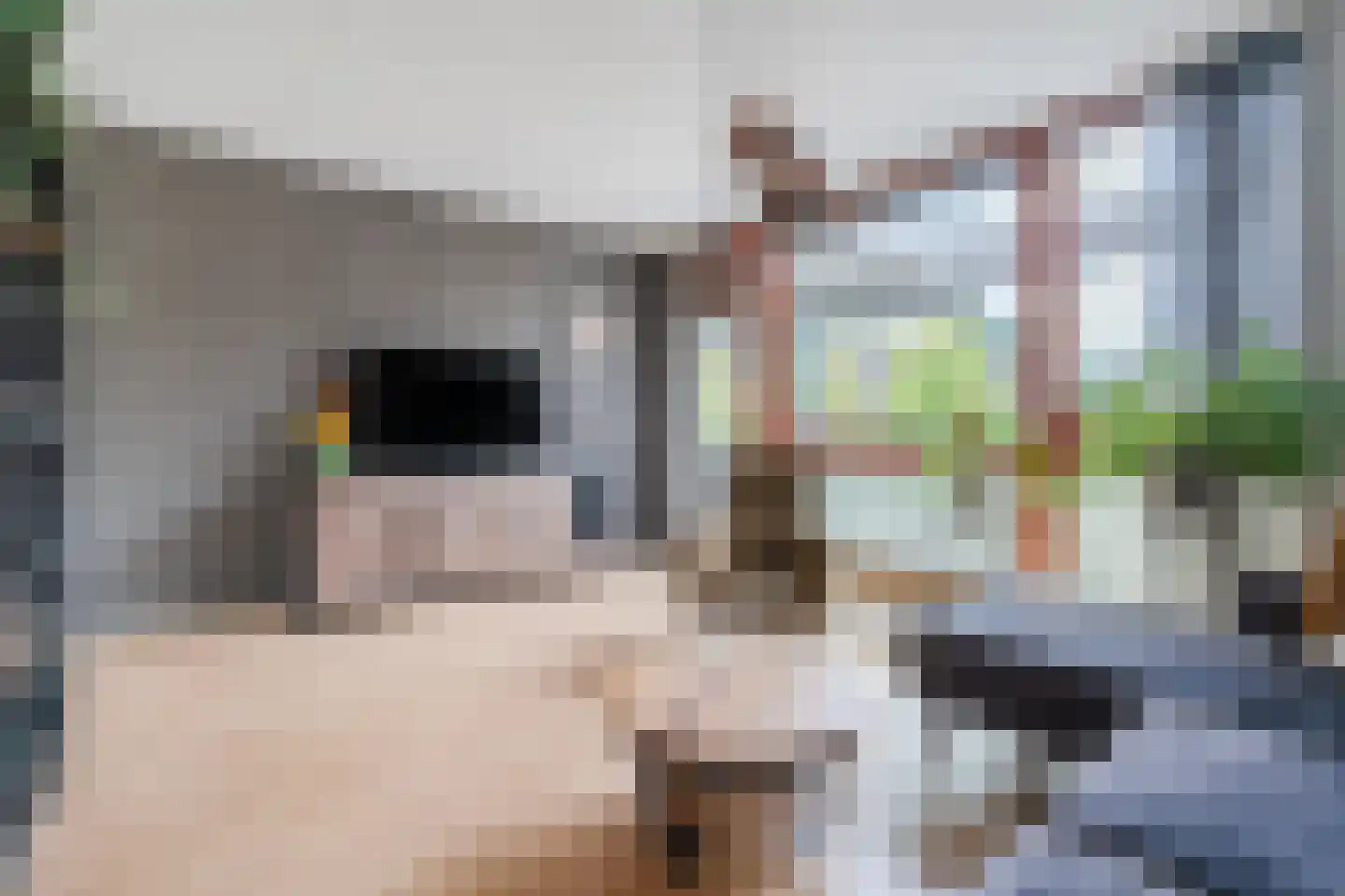 Arnold van Rodelaan 81 Hapert thumbnail 16