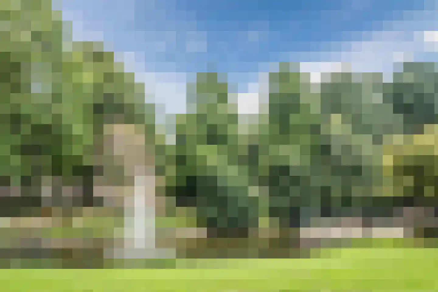 Arnold van Rodelaan 81 Hapert thumbnail 35