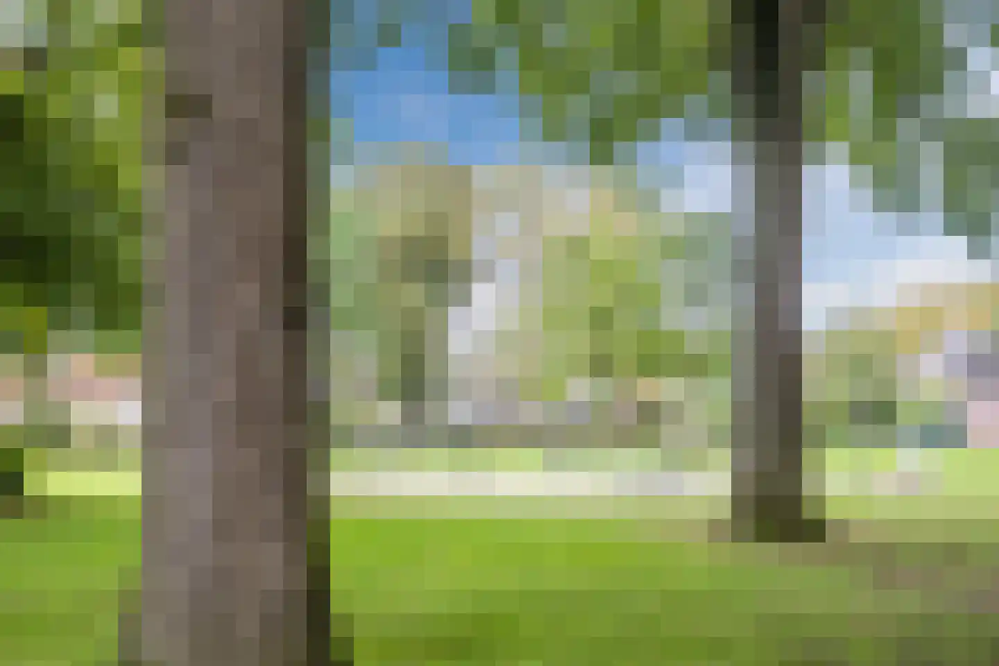 Arnold van Rodelaan 81 Hapert thumbnail 36