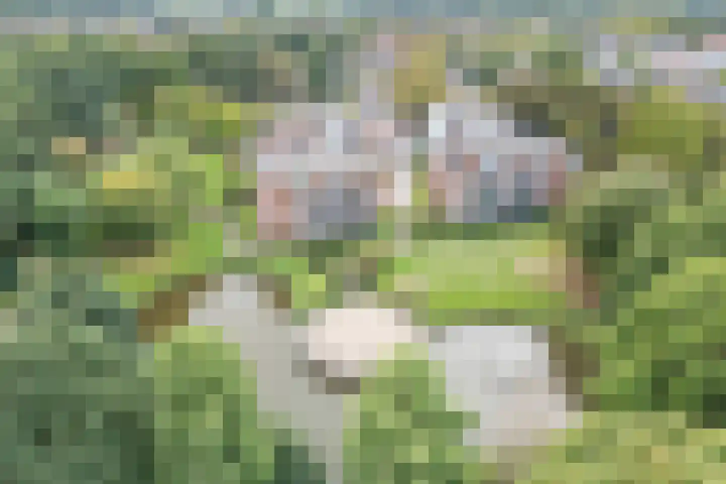 Arnold van Rodelaan 81 Hapert thumbnail 40