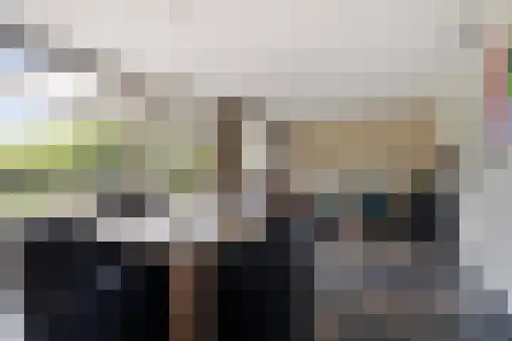 Arnold van Rodelaan 83 Hapert thumbnail 12