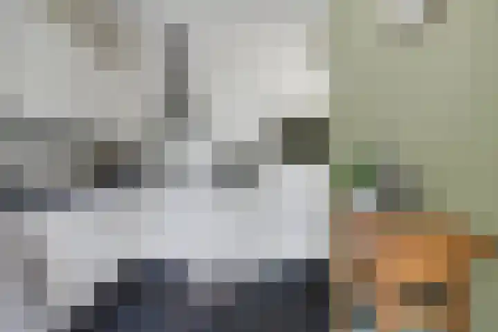 Arnold van Rodelaan 83 Hapert thumbnail 19