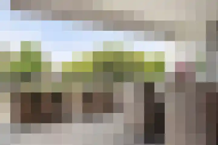 Arnold van Rodelaan 83 Hapert thumbnail 21