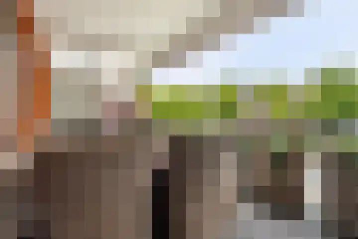 Arnold van Rodelaan 83 Hapert thumbnail 23