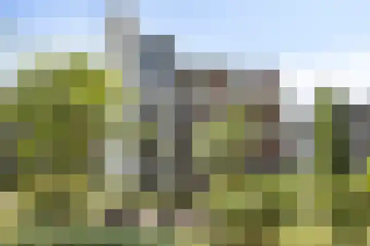 Arnold van Rodelaan 83 Hapert thumbnail 37