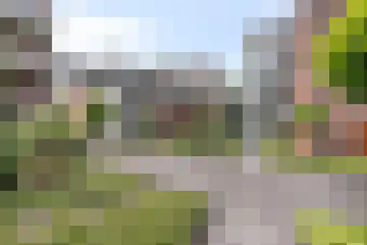 Arnold van Rodelaan 83 Hapert thumbnail 38