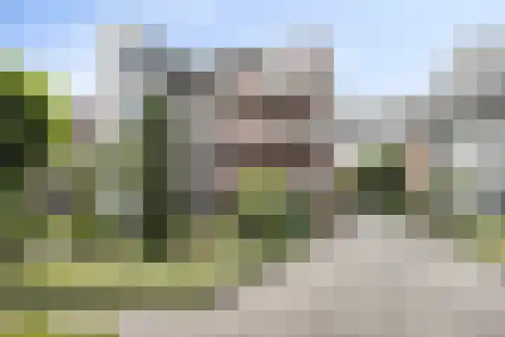 Arnold van Rodelaan 83 Hapert thumbnail 39