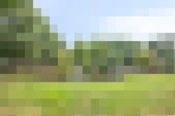 Arnold van Rodelaan 83 Hapert thumbnail 4