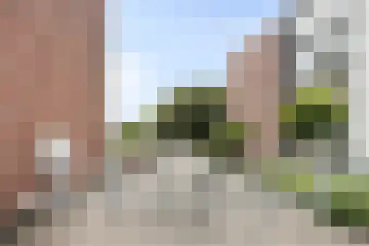 Arnold van Rodelaan 83 Hapert thumbnail 41