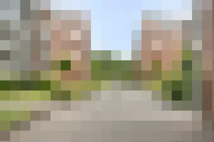 Arnold van Rodelaan 83 Hapert thumbnail 42
