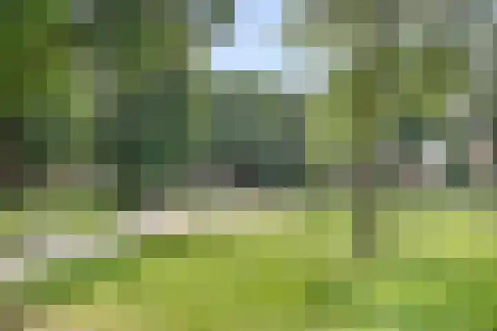 Arnold van Rodelaan 83 Hapert thumbnail 43