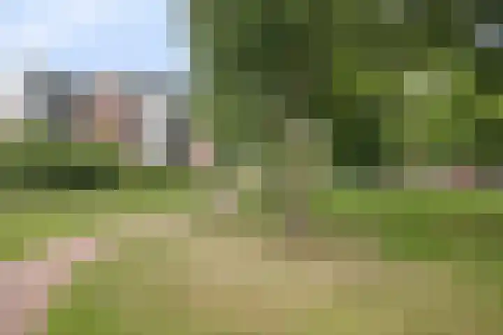 Arnold van Rodelaan 83 Hapert thumbnail 44