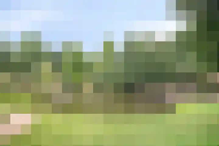 Arnold van Rodelaan 83 Hapert thumbnail 45