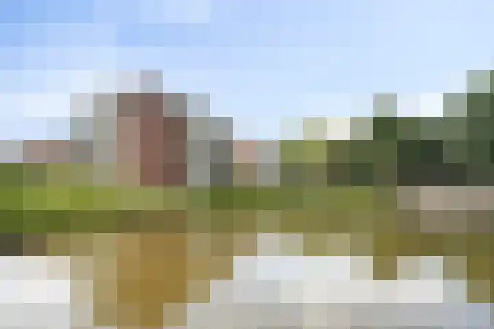 Arnold van Rodelaan 83 Hapert thumbnail 47