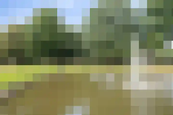 Arnold van Rodelaan 83 Hapert thumbnail 48