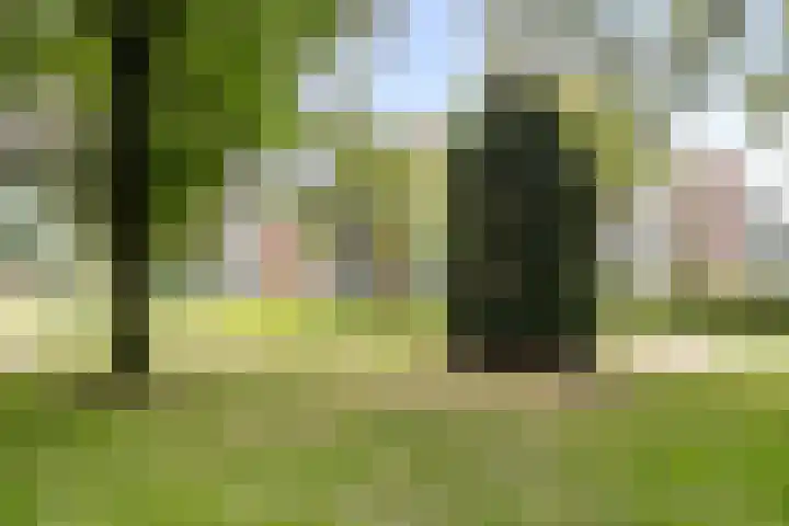 Arnold van Rodelaan 83 Hapert thumbnail 50