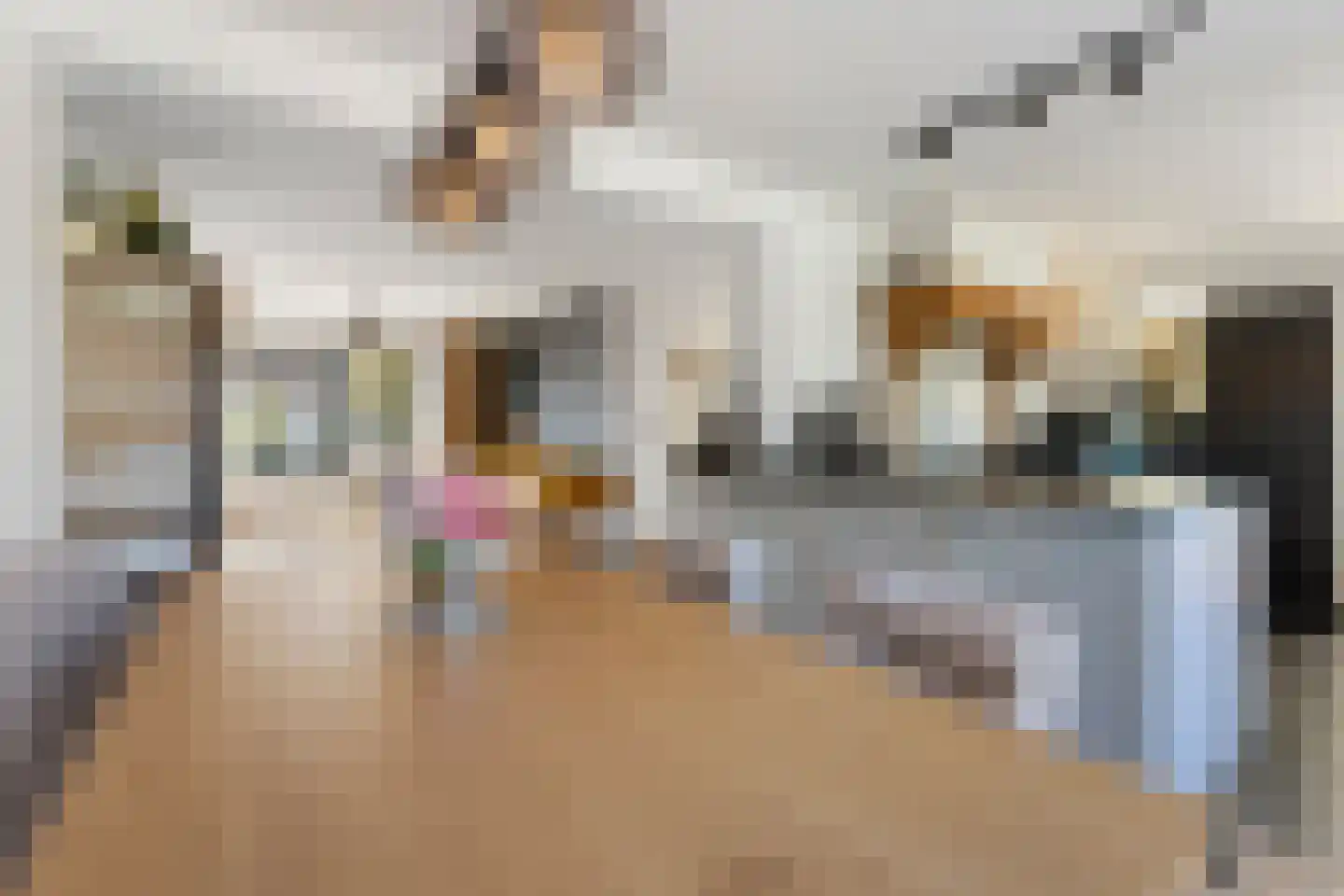 Arnold van Steinstraat 1 Born thumbnail 16