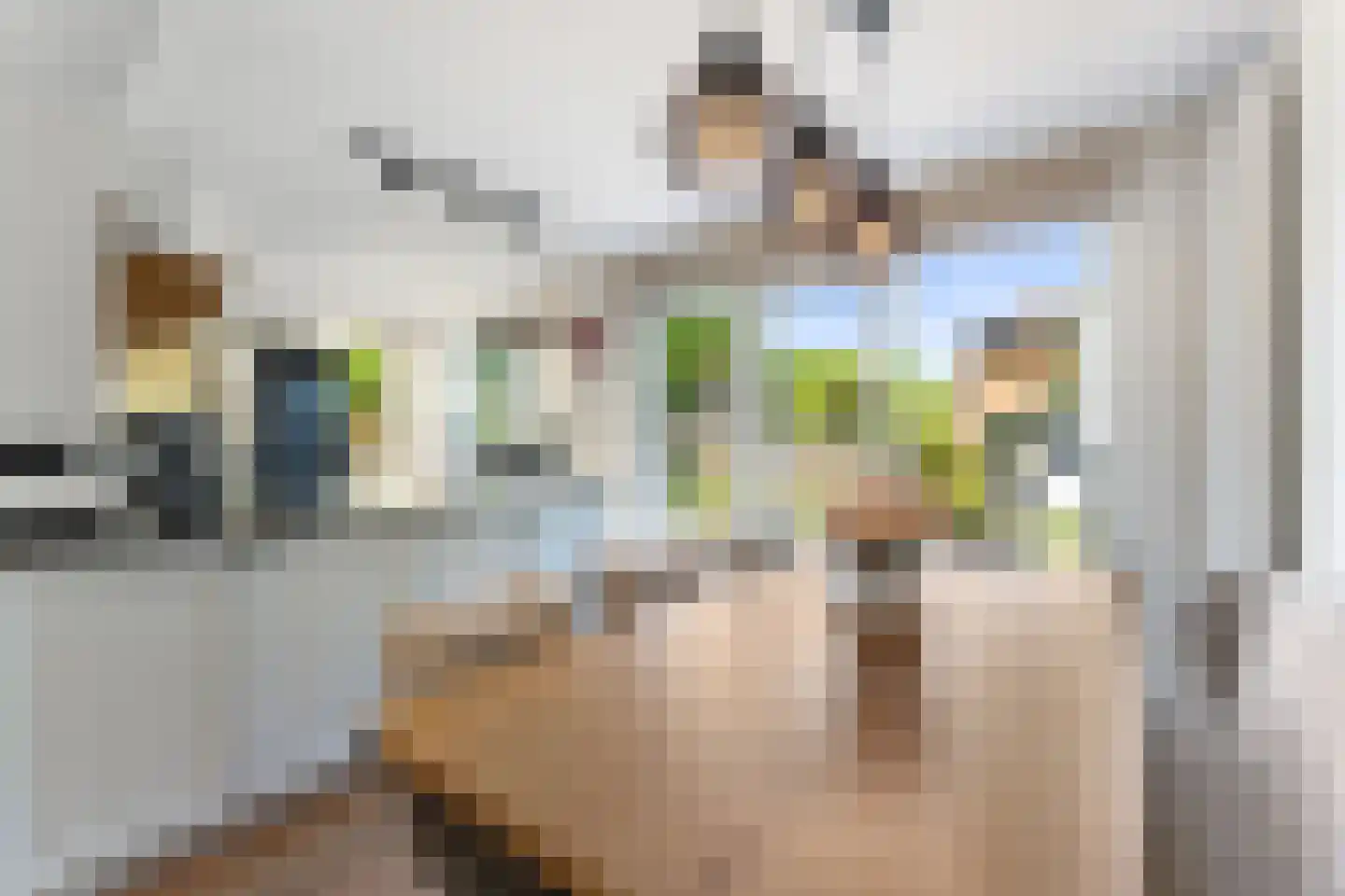 Arnold van Steinstraat 1 Born thumbnail 18