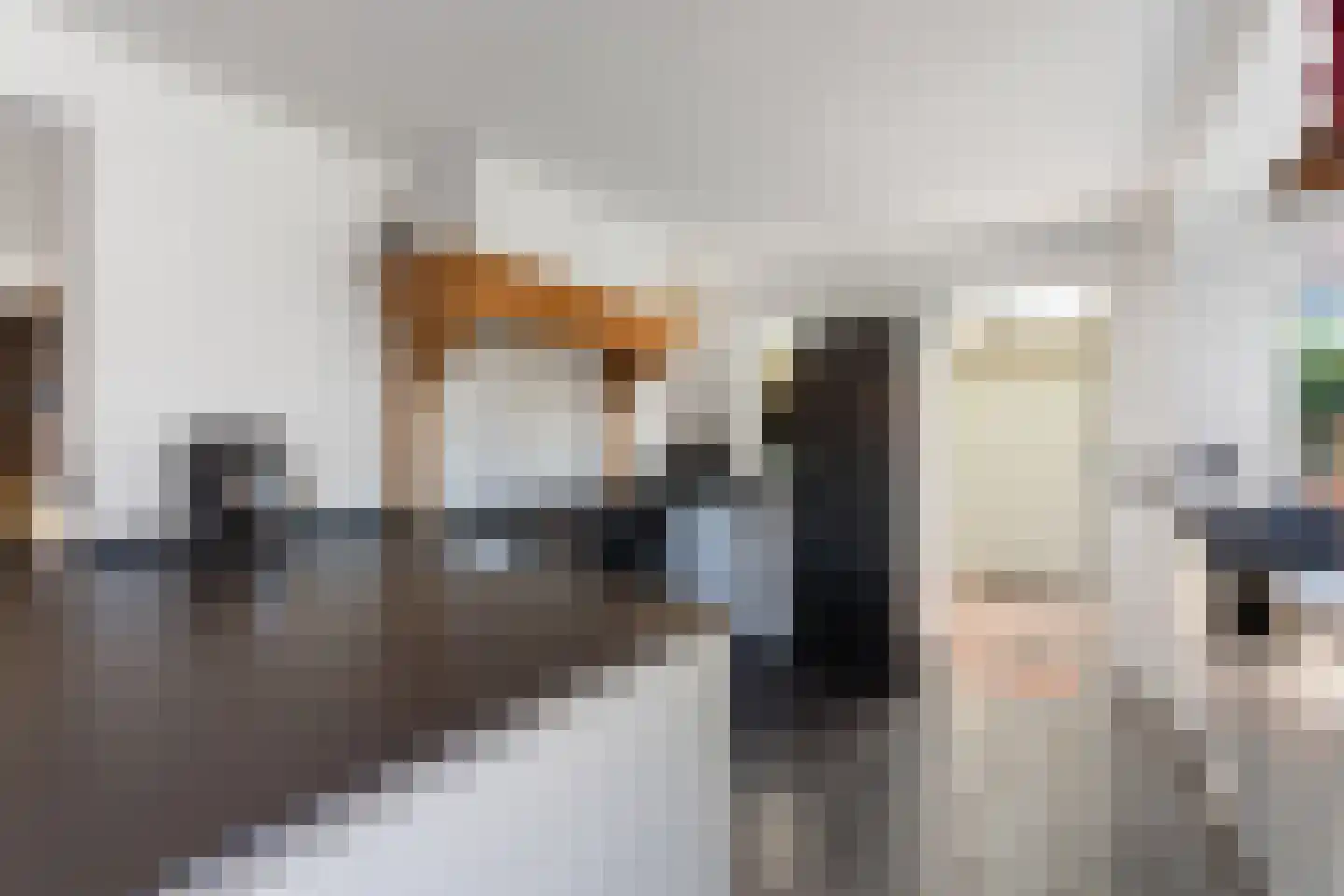 Arnold van Steinstraat 1 Born thumbnail 19