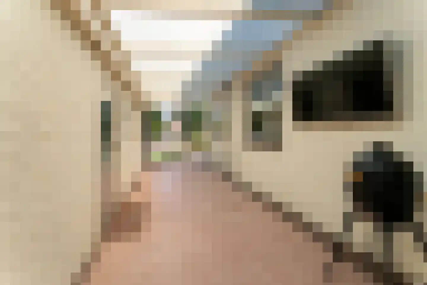 Arnold van Steinstraat 1 Born thumbnail 25