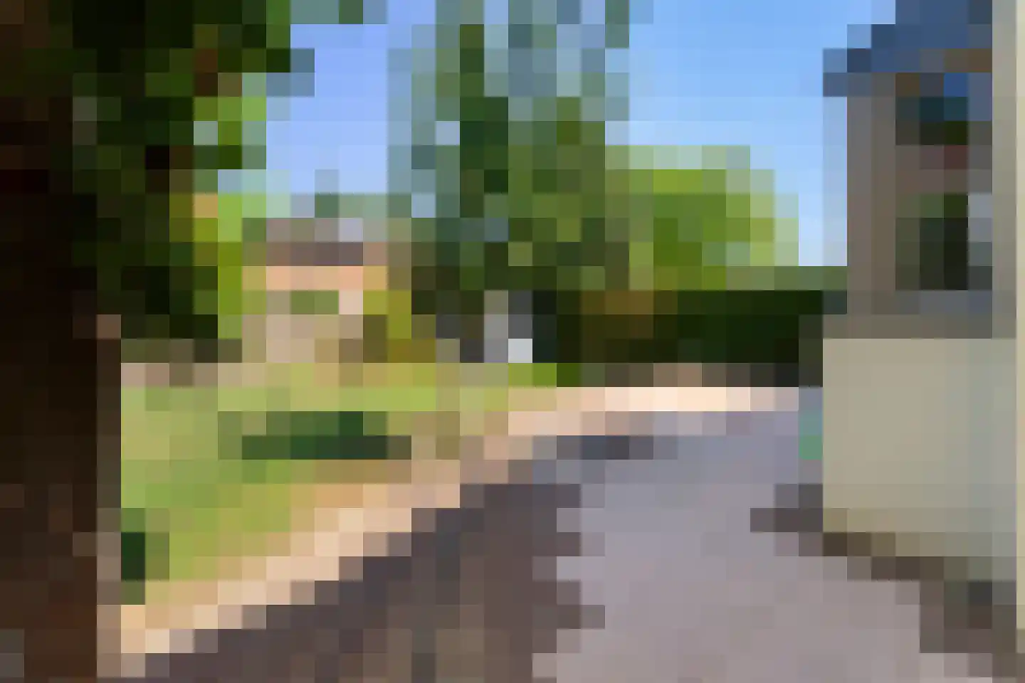 Arnold van Steinstraat 1 Born thumbnail 26