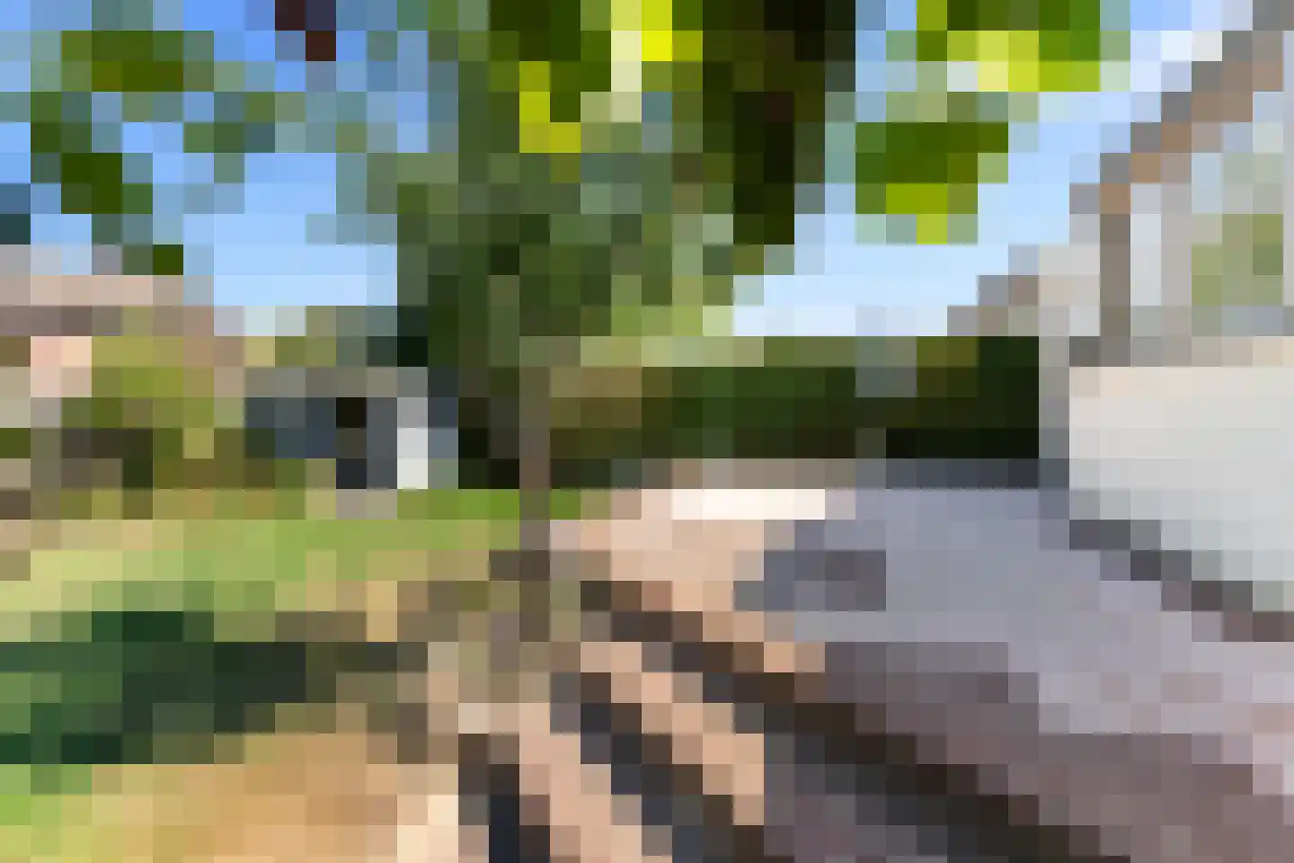 Arnold van Steinstraat 1 Born thumbnail 27
