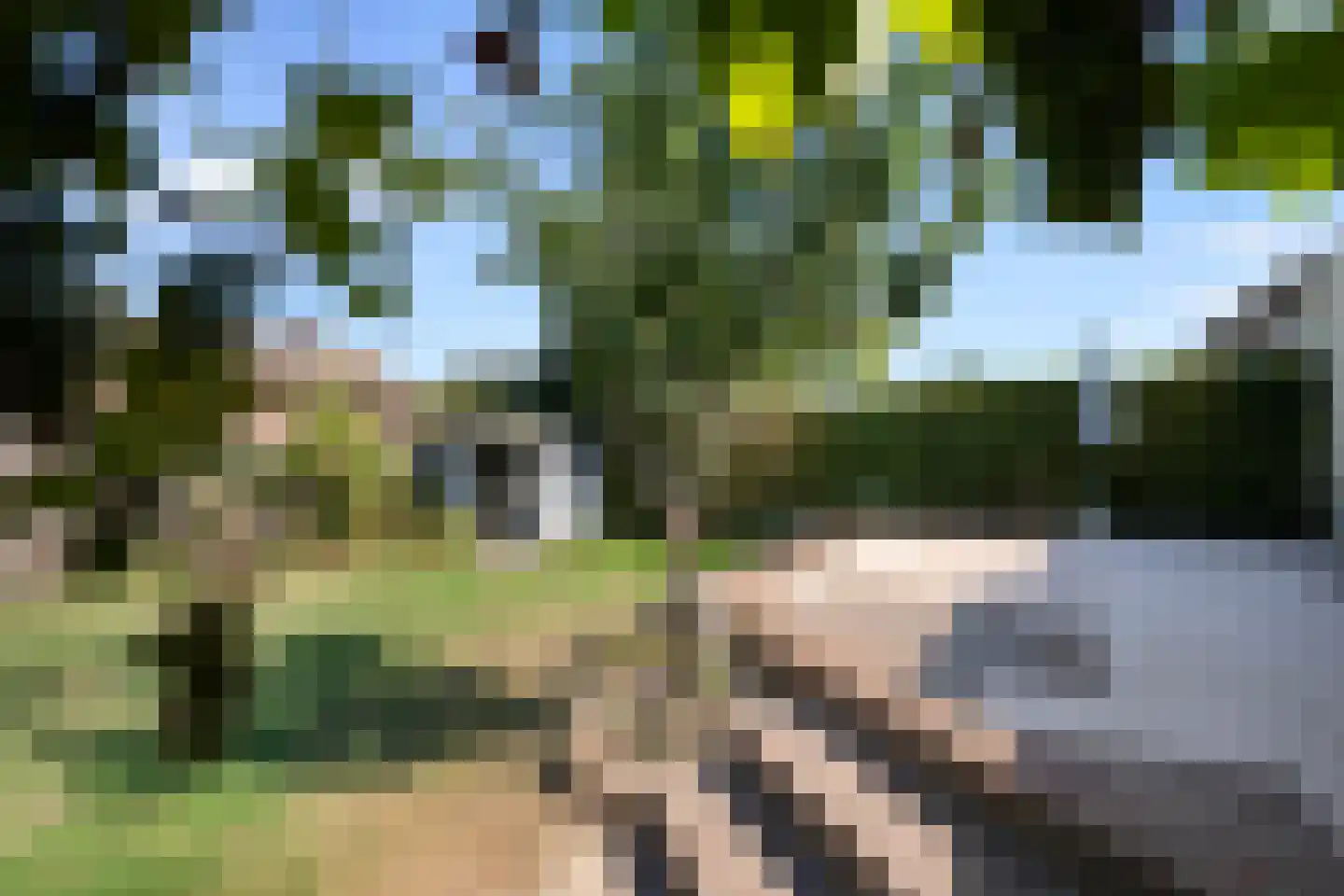Arnold van Steinstraat 1 Born thumbnail 28