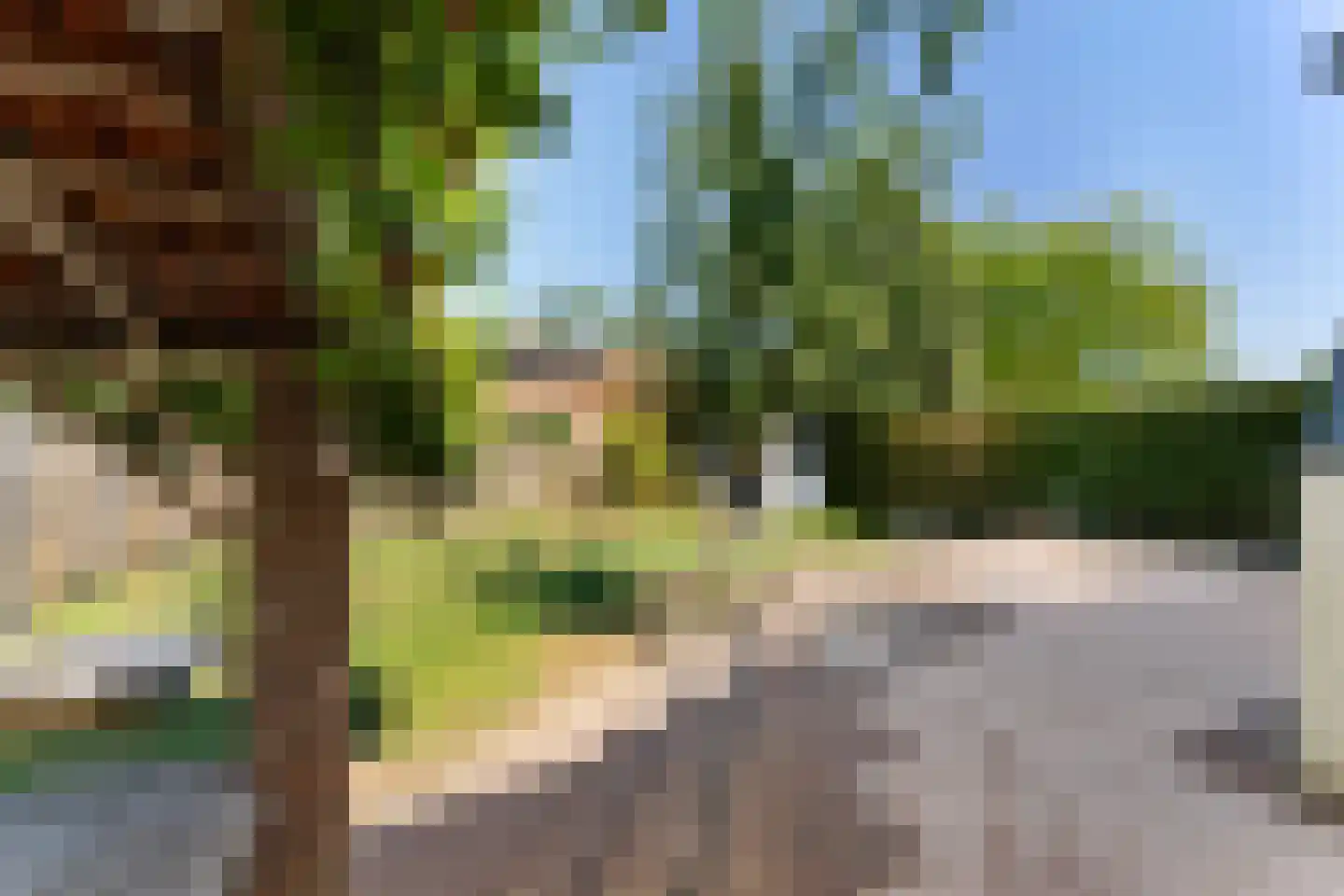 Arnold van Steinstraat 1 Born thumbnail 29