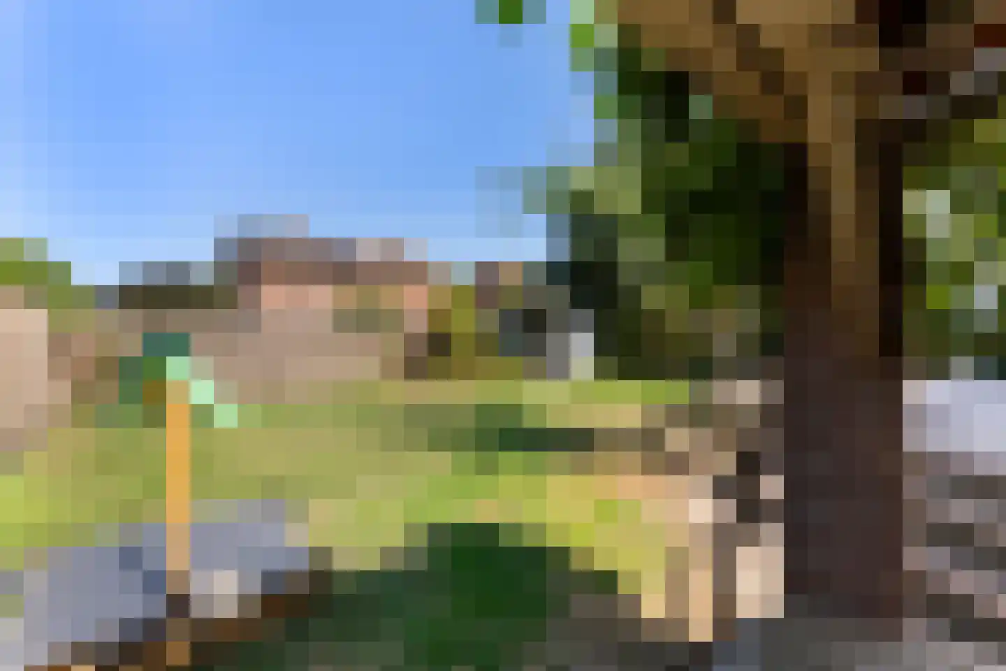 Arnold van Steinstraat 1 Born thumbnail 30