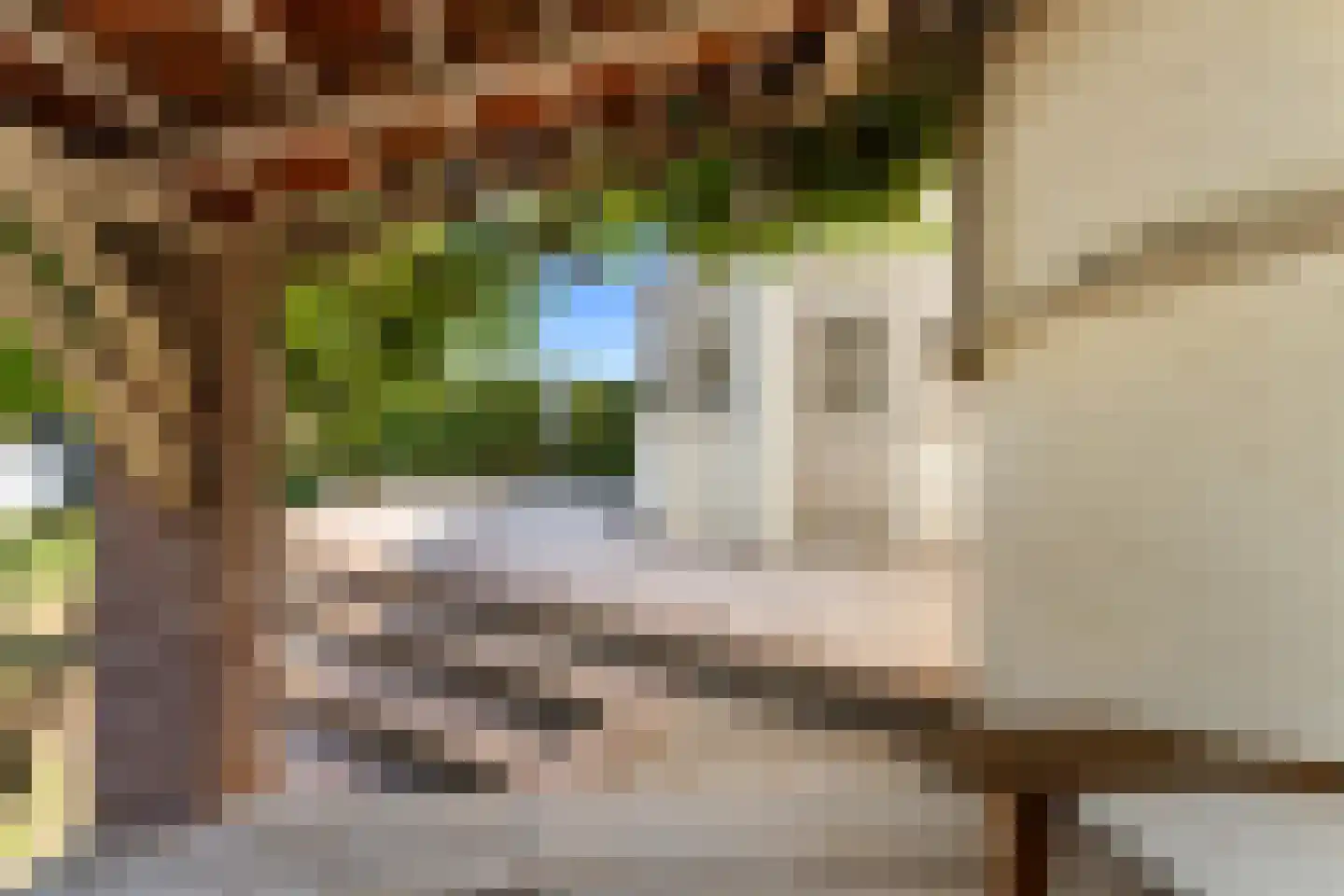 Arnold van Steinstraat 1 Born thumbnail 31