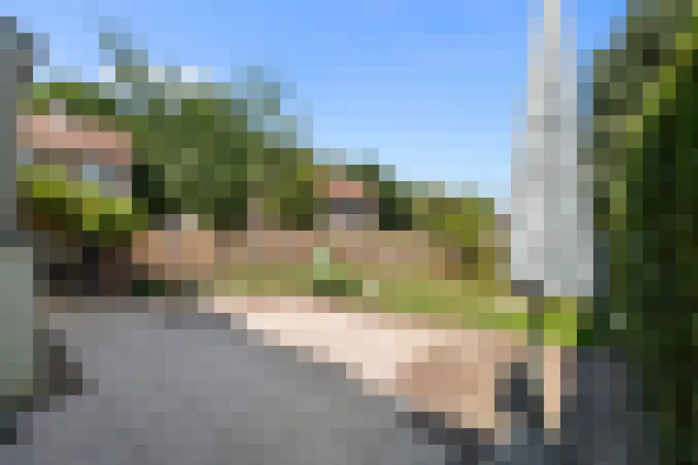 Arnold van Steinstraat 1 Born thumbnail 32