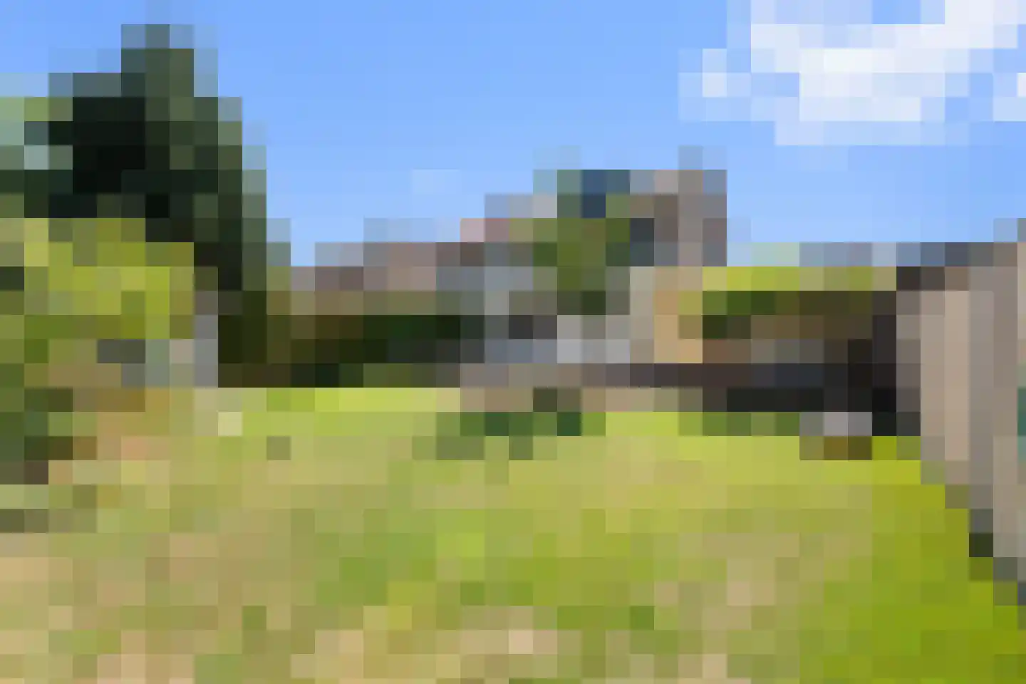 Arnold van Steinstraat 1 Born thumbnail 4
