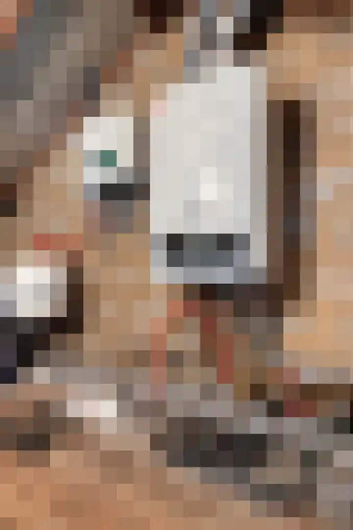 Arnoldenstraat 9 Stein thumbnail 50