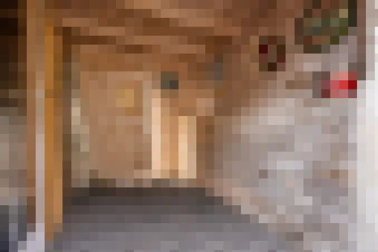 Arnoldipad 3 Schiedam thumbnail 10