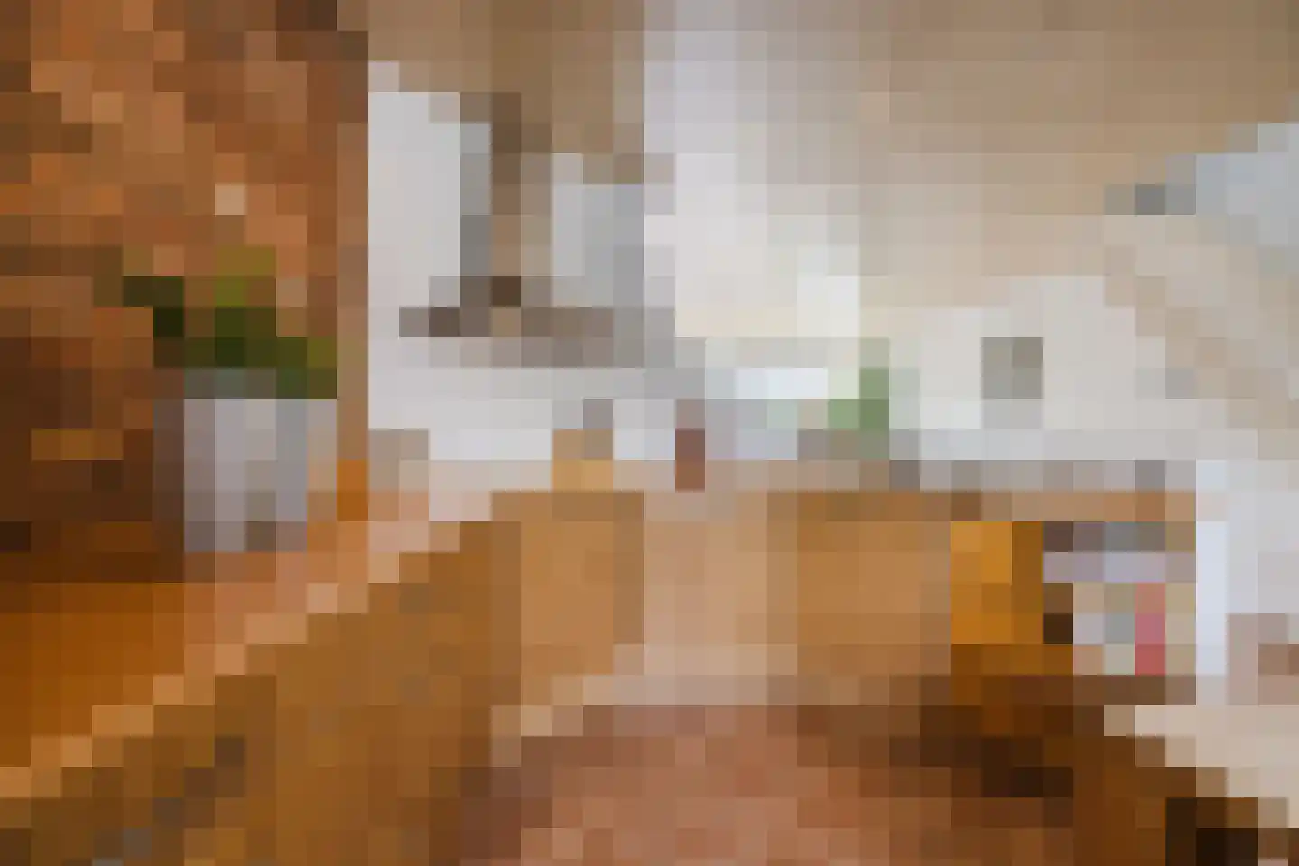 Arnoldipad 3 Schiedam thumbnail 18