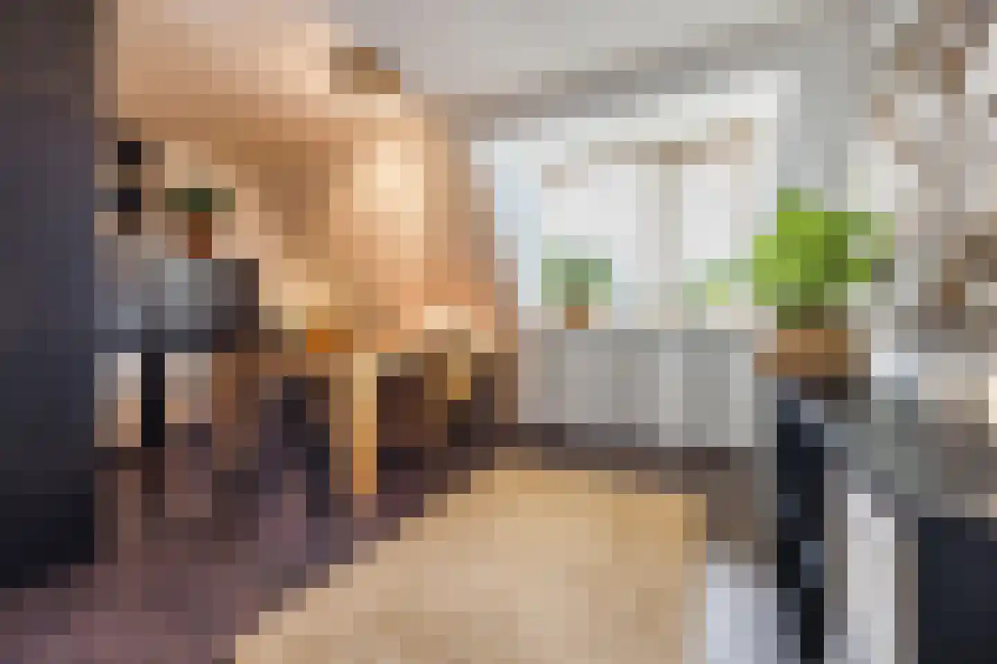 Arnoldipad 3 Schiedam thumbnail 22