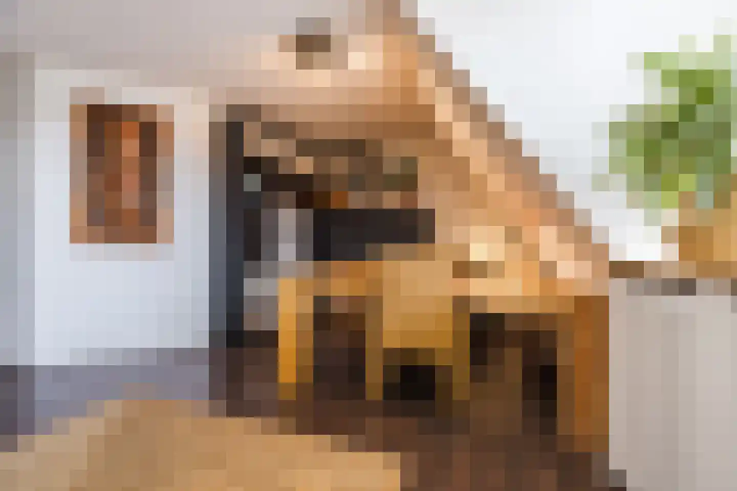 Arnoldipad 3 Schiedam thumbnail 23