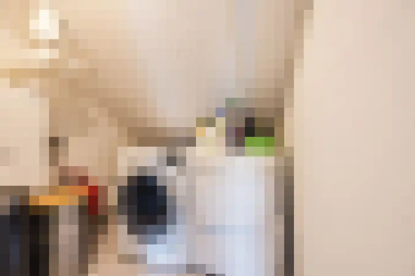 Arnoldipad 3 Schiedam thumbnail 35