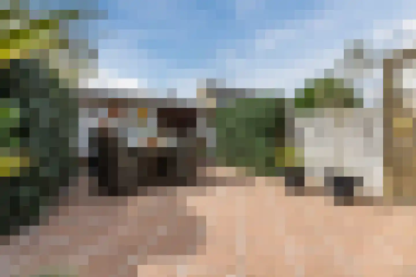 Arnoldipad 3 Schiedam thumbnail 4