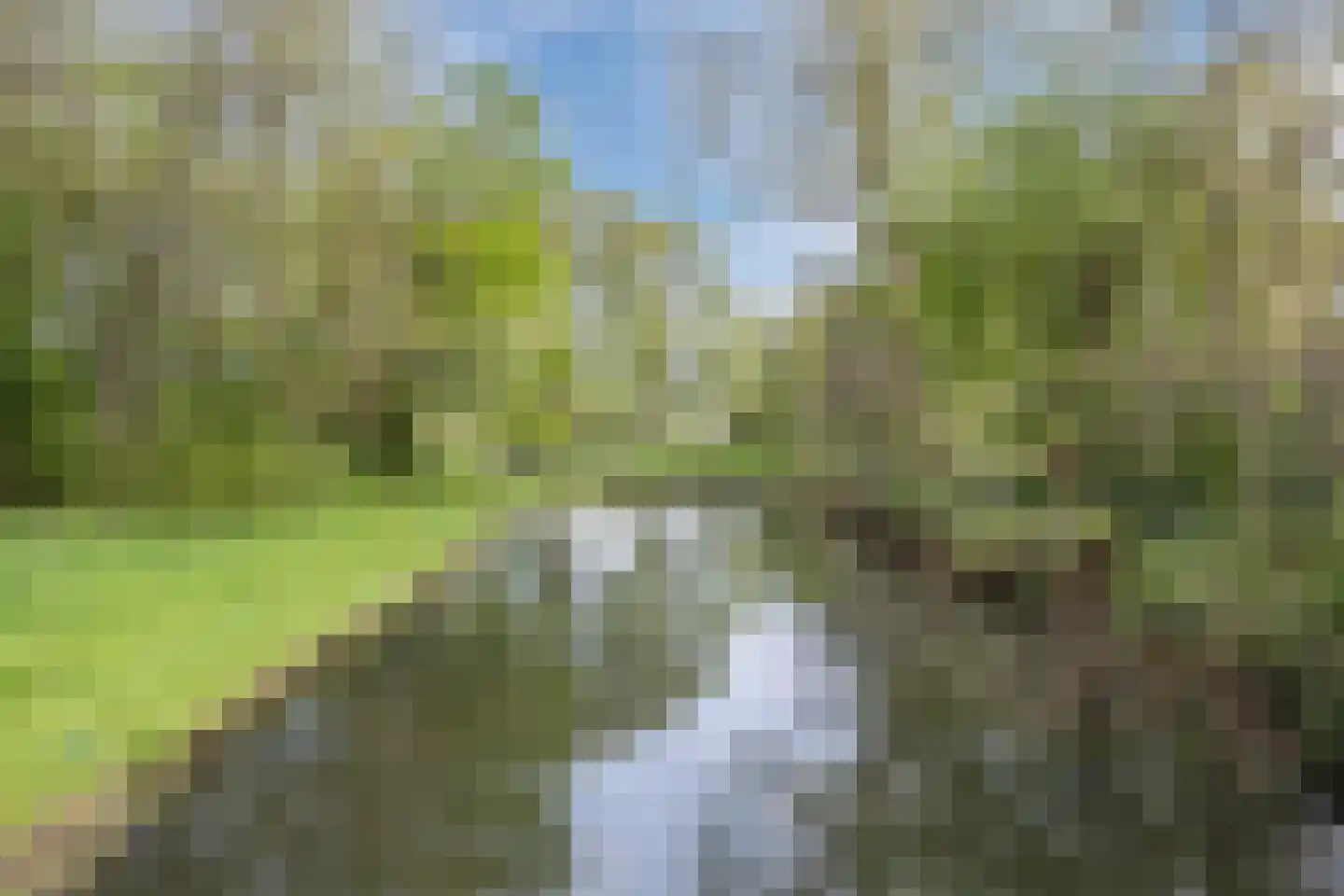 Arnoldipad 3 Schiedam thumbnail 40