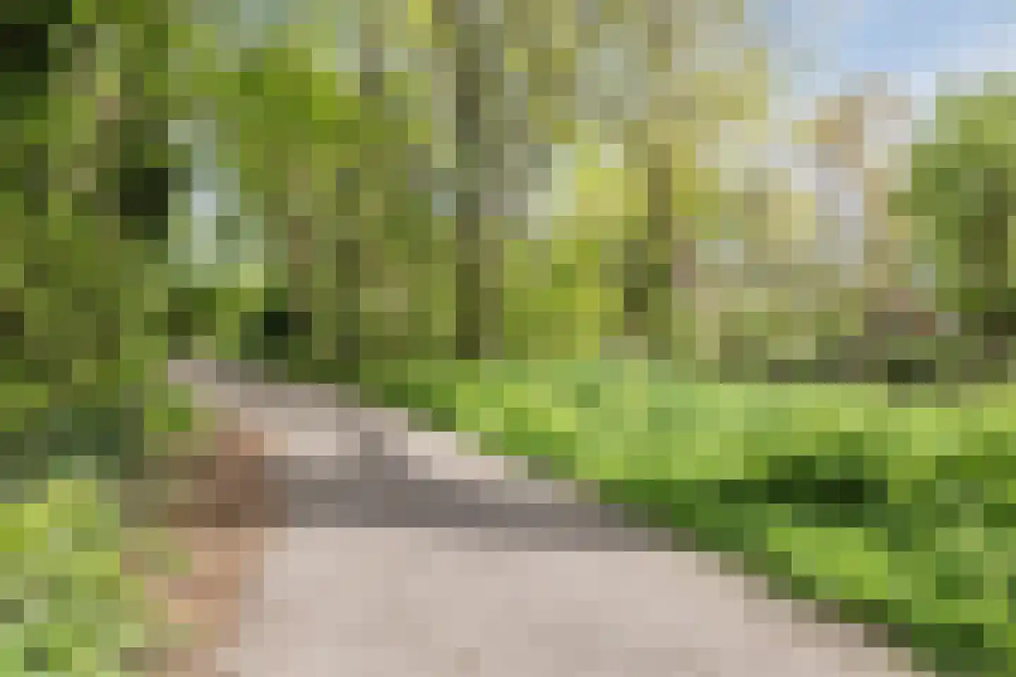 Arnoldipad 3 Schiedam thumbnail 41